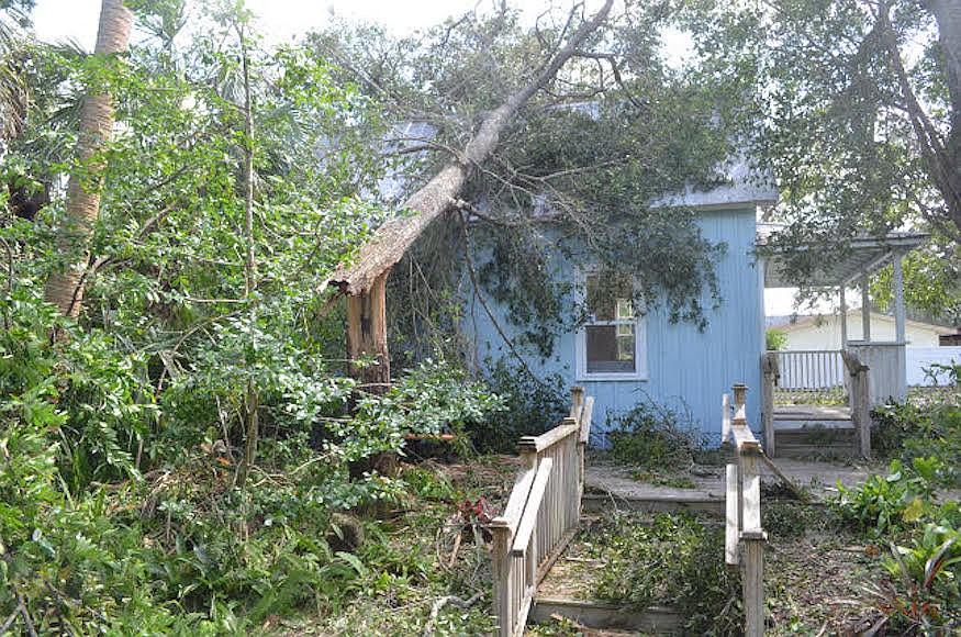 A tree fell on Emmons Cottage, but it doesn't look like much damage was done (Photo by Wayne Grant).