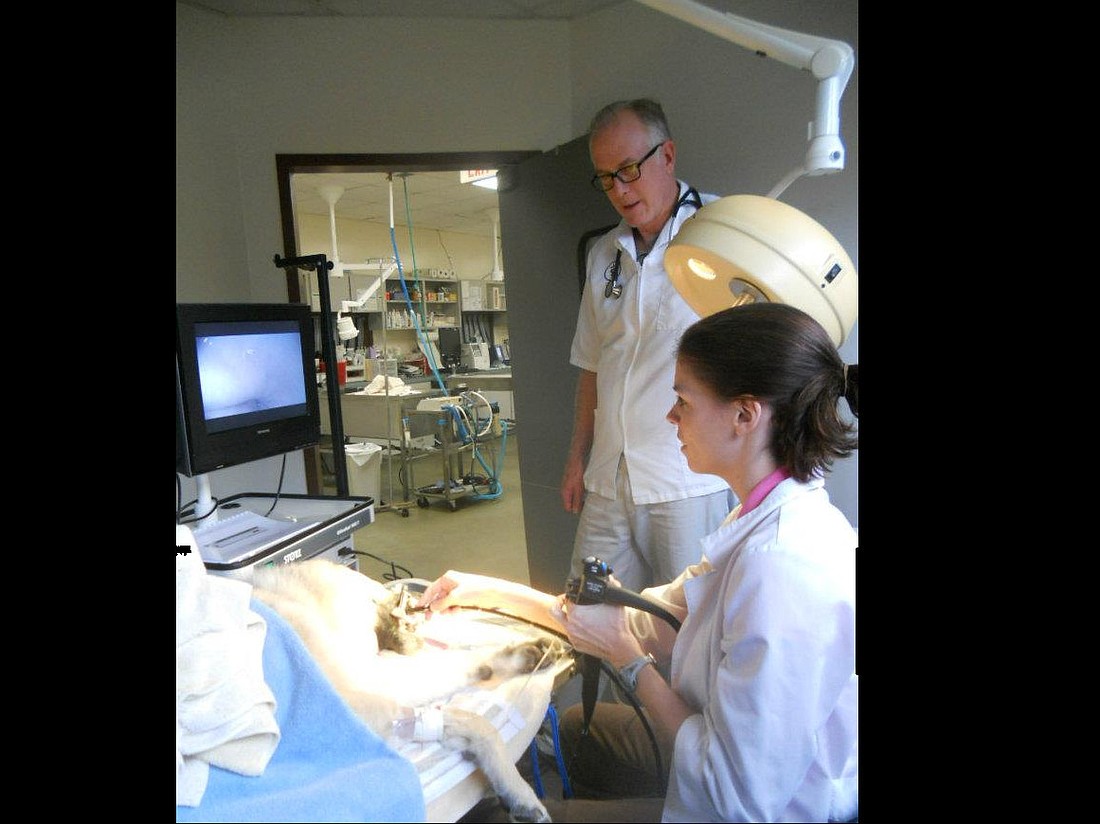 During an emergency endoscopy procedure, Dr. Ware uses a camera which allows her to see into the patientÃ¢â‚¬â„¢s esophagus.