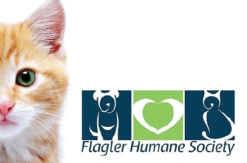 The FlaglerÃ¢â‚¬â„¢s Humane SocietyÃ¢â‚¬â„¢s new strategic plan focuses on eliminating the need to euthanize animals due to lack of space or resources.