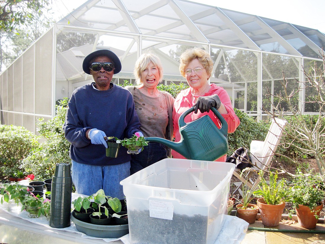Elma Chung, Jill Carpenter and Lois Muller and other club members have propagated more than 2,000 plants for the clubÃ¢â‚¬â„¢s annual plant sale at the expo. COURTESY PHOTO