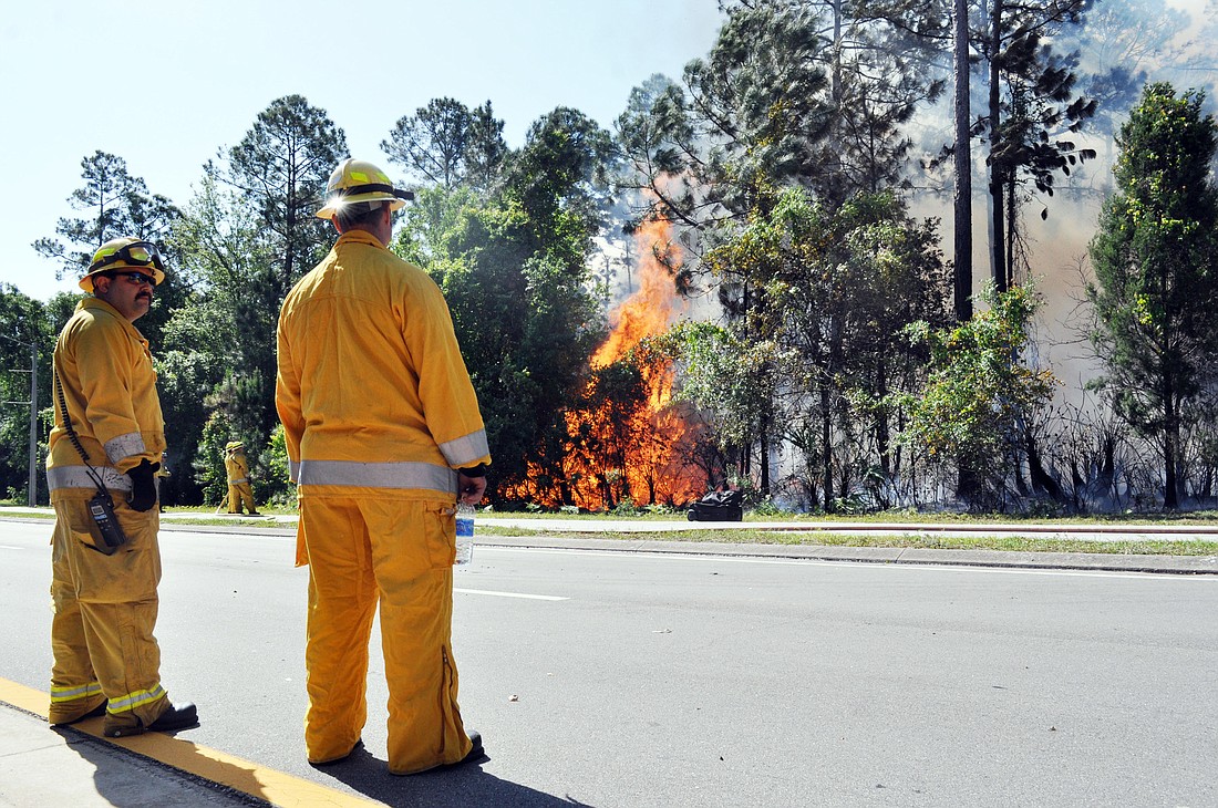 Firefighters keep watch as the flames climb trees in the late morning April 12, on Cypress Point Parkway.