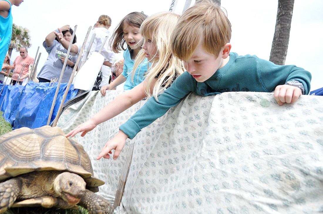 Johnny DiVico (front) and his twin sister, Elise, reach down to pet the tortoise.