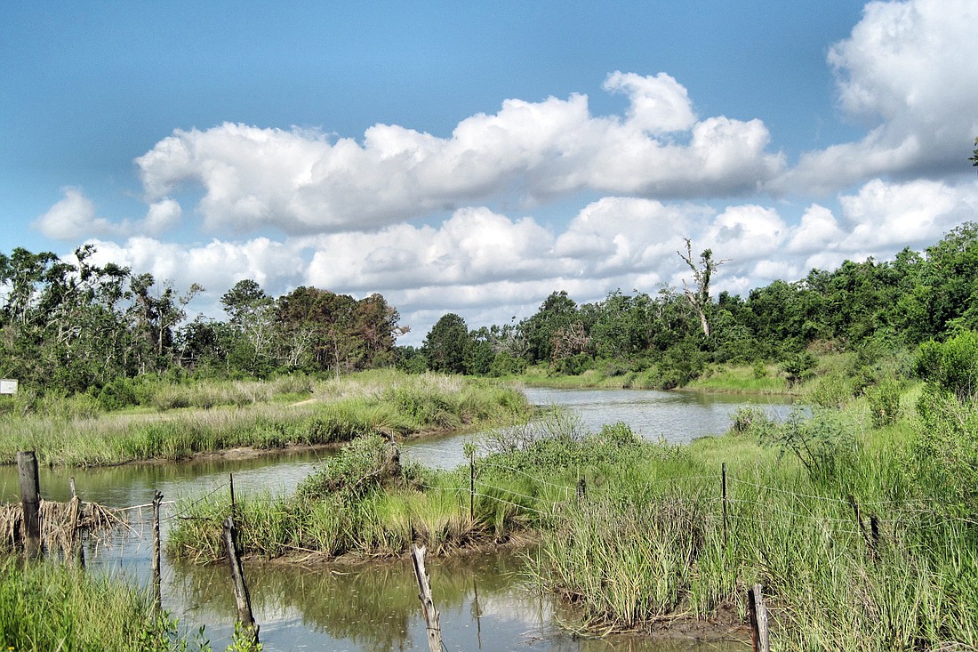 The Flagler County Board of County Commissioners opposes the possibility of losing any protected county lands. STOCK IMAGE