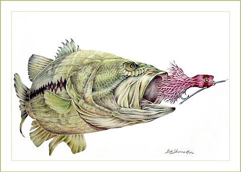 Bill Shoemaker's colored pencil drawing of this large-mouth-bass will be featured.