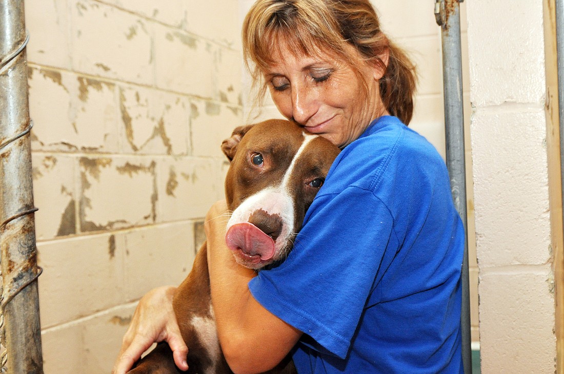 Debbie Root, owner of Second Chance Rescue and volunteer at the Flagler Humane Society, spends time with Serenity.