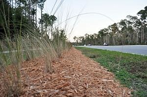 The city wants to bring the lawn-maintenance work in-house. Currently, Fox Landscaping Inc., a local contractor, does the work. FILE PHOTO