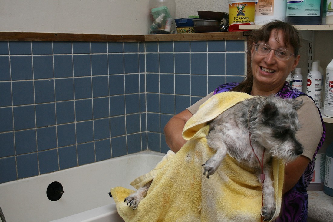 Sharon Canales, owner of Dog's Choice Grooming Salon, gives a bath to Jill, a regular customer.