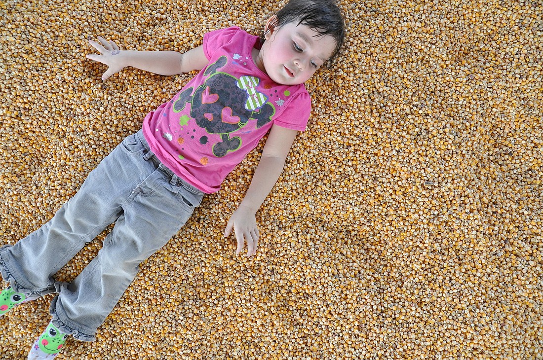 Aaliyah Burfield lounges in the corn box at the Cowart Ranch and Farms Fall Festival and Crop Maze.