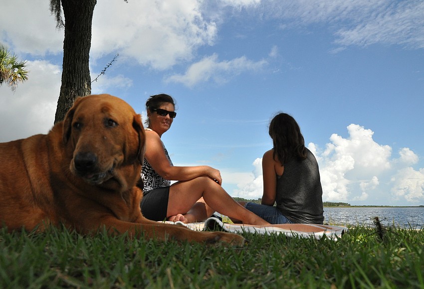 Thousands strum to Creekside Festival Observer Local News Palm