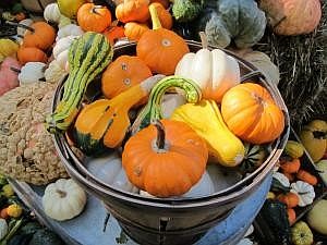 Feed Flagler's goal for 2102? Feed 4,000 people a traditional Thanksgiving dinner.