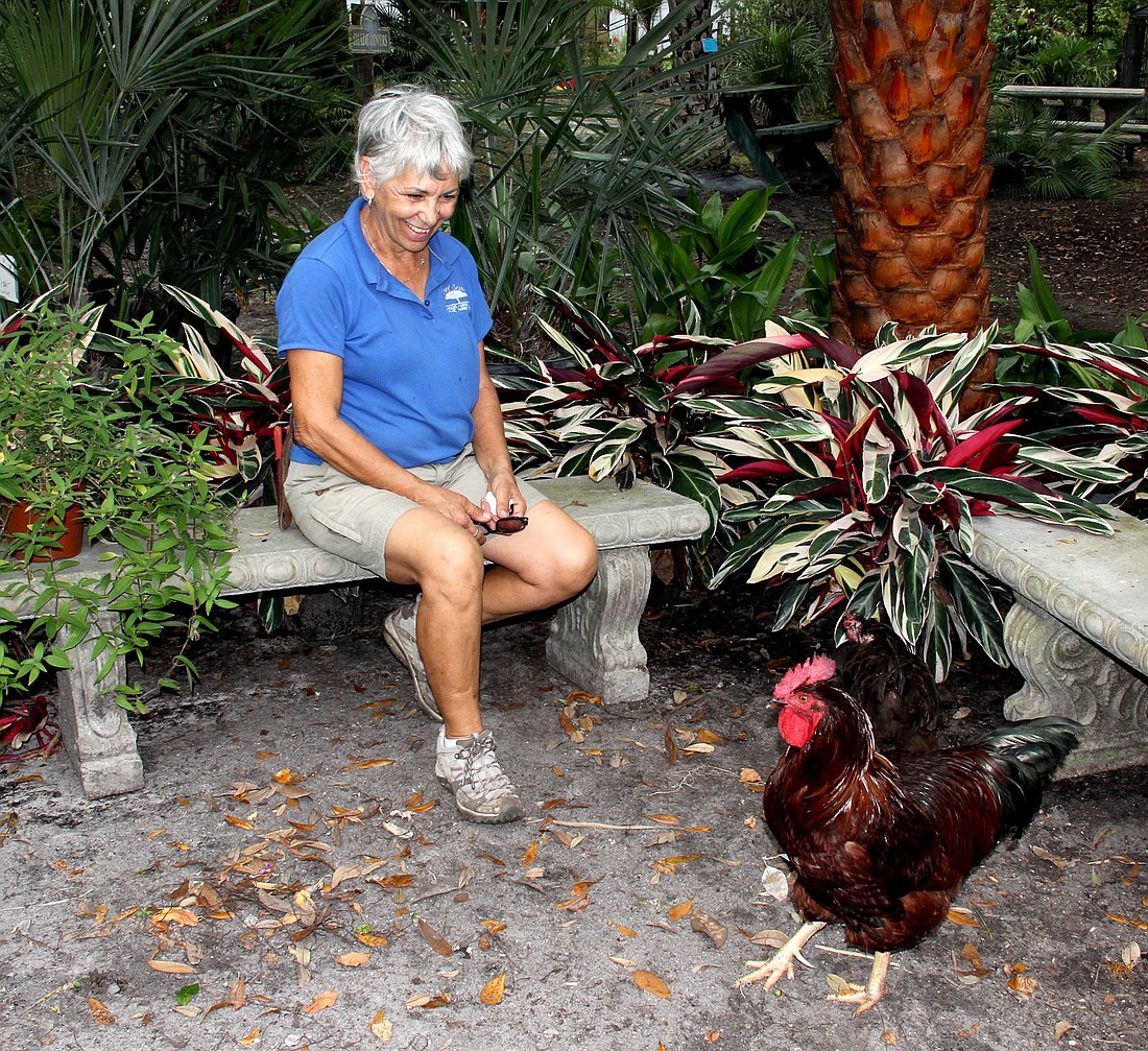 Marylou Baiata, owner of NatureScapes Garden Nursery and Florist in Bunnell, says everyone has a purpose at the nursery, even the chickens. The birds are a natural pest control.