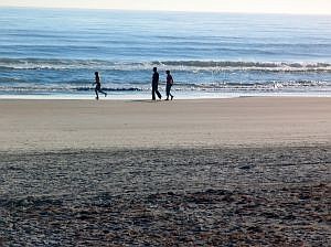 Dick Holmberg said his undercurrent stabilizers will save Flagler's Beaches. Courtesy photo.