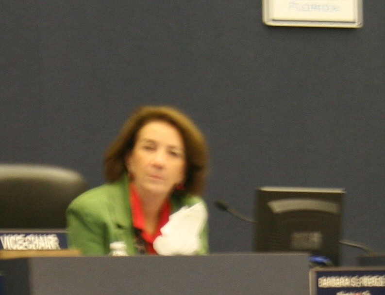 Commissioner Barbara Revels asked whether Flagler County was legally able to regulate pain management clinics.