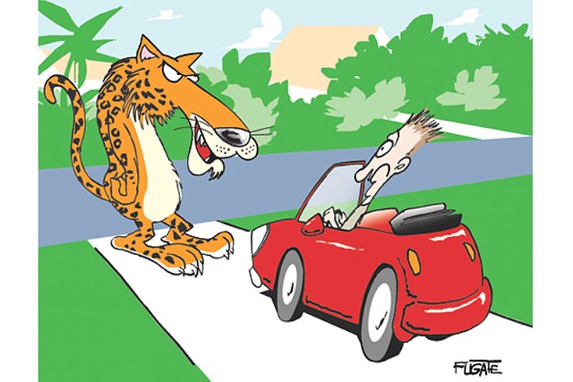The complainant called police to report a Jaguar blocking his driveway.