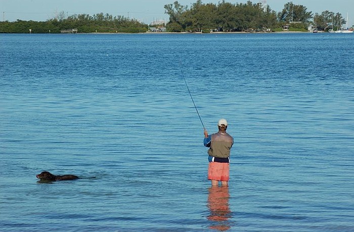 People are warned to stay out of the water off the Ringling Causeway until bacteria levels return to normal.