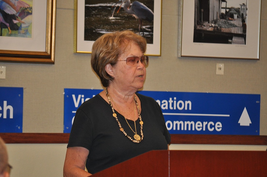 Planning and Zoning Board member Pat Zunz discussed the revisions to the town's Vision Plan Thursday.