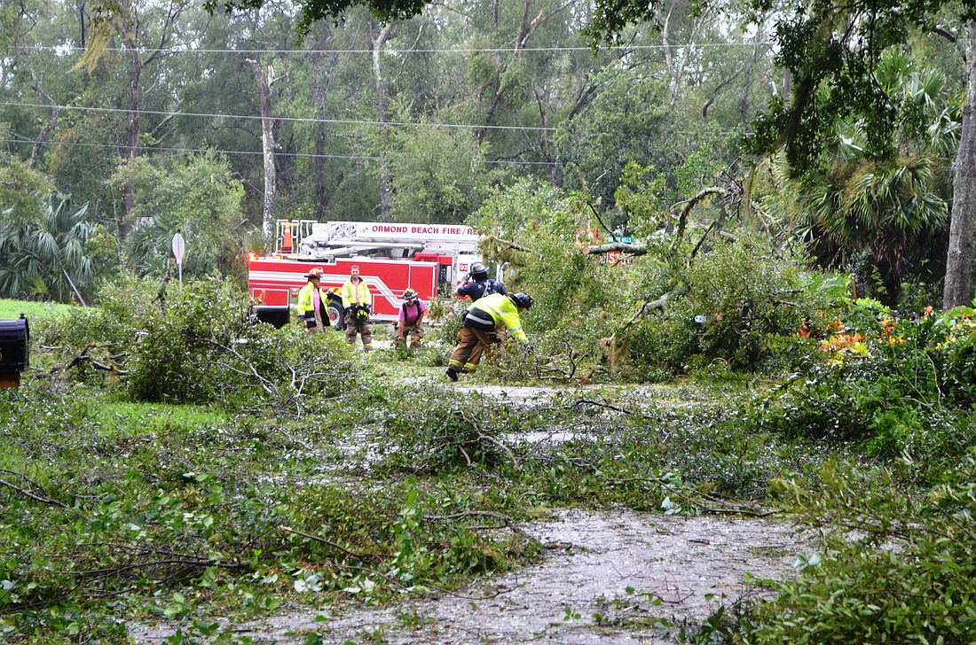Emergency crews are blocked by fallen trees. Photo by Wayne Grant