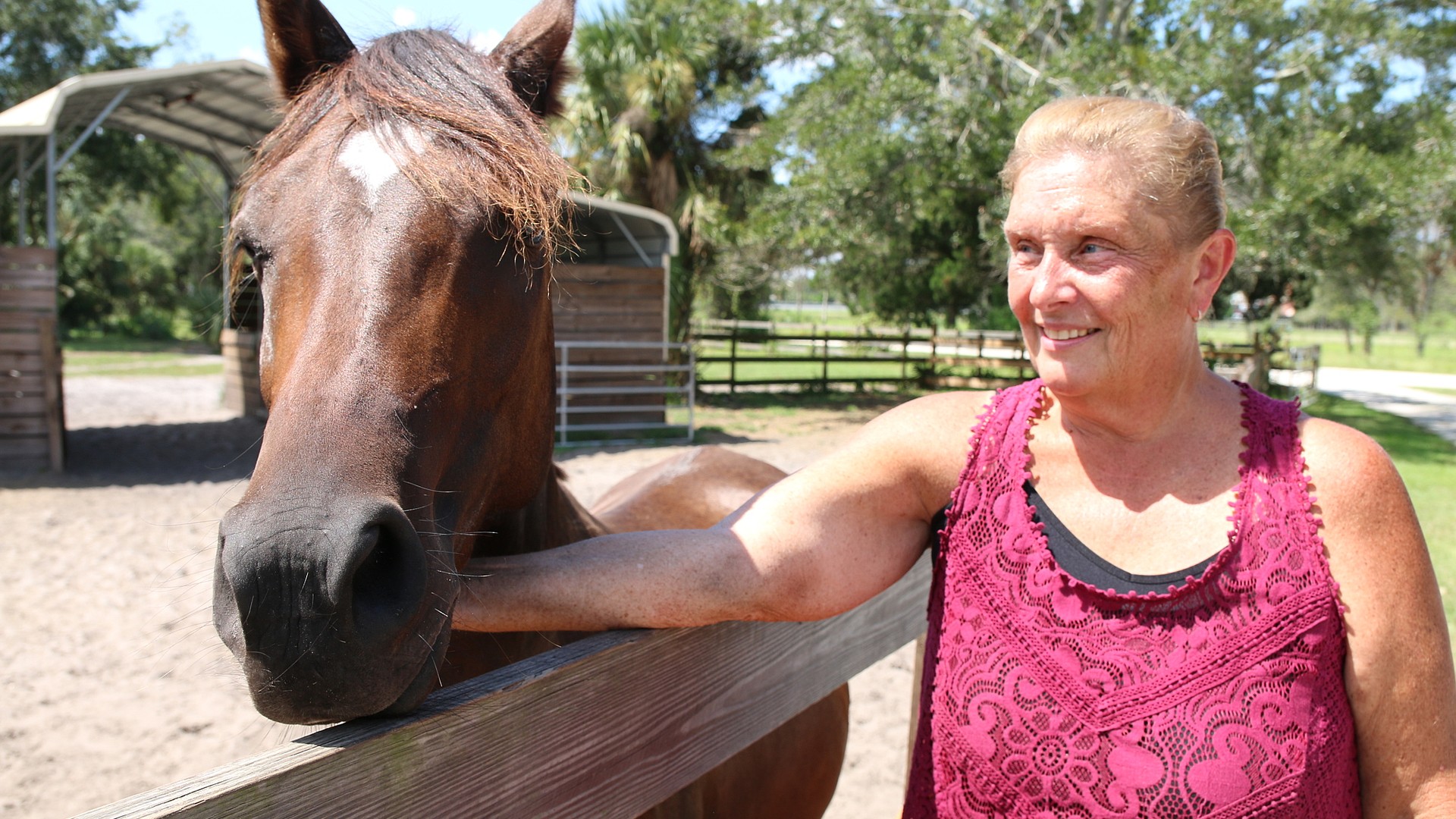 Ormond Beachbased horse rescue dedicated to saving community's horses