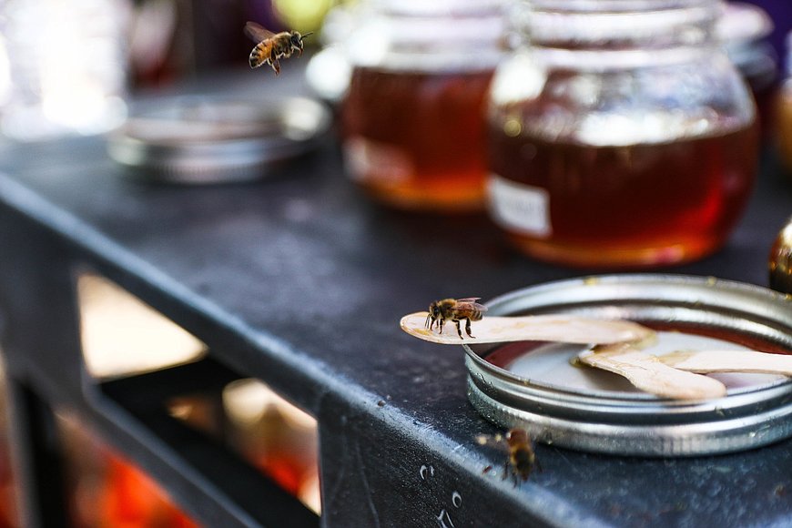 Bees buzz around the local honey from Art Plant Love's vendor tent at last year's Shop Small Saturday Outdoor Market. Photo by Paige Wilson