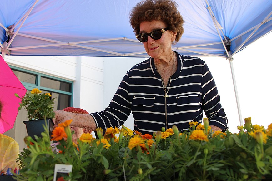 Virginia Young, of the Ormond Beach Garden Club, arranges the free flowers for the public at last year's Picnic on the Plaza. Photo by Jarleene Almenas