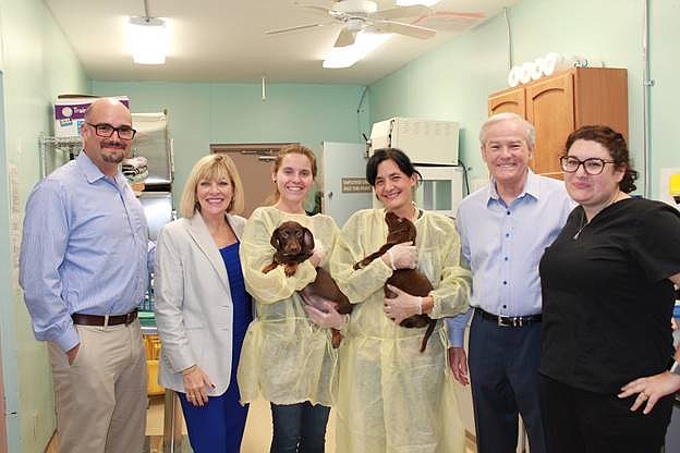 Miguel Abi-hassan, Nancy Lohman, Lowell Lohman, and Dr. Green are joined by two vet techs holding two Dachshund puppies in the current vet services area at HHS.