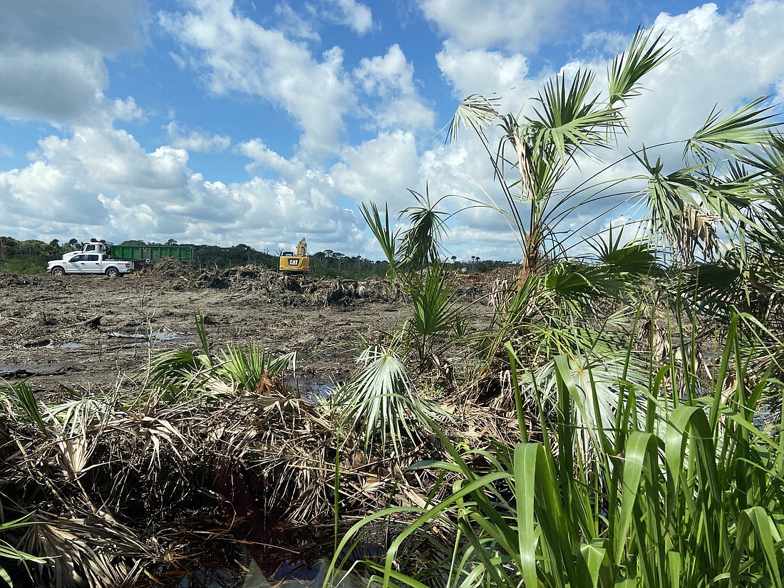 Before the marsh can be restored, the existing vegetation has to go. Photo by Jarleene Almenas