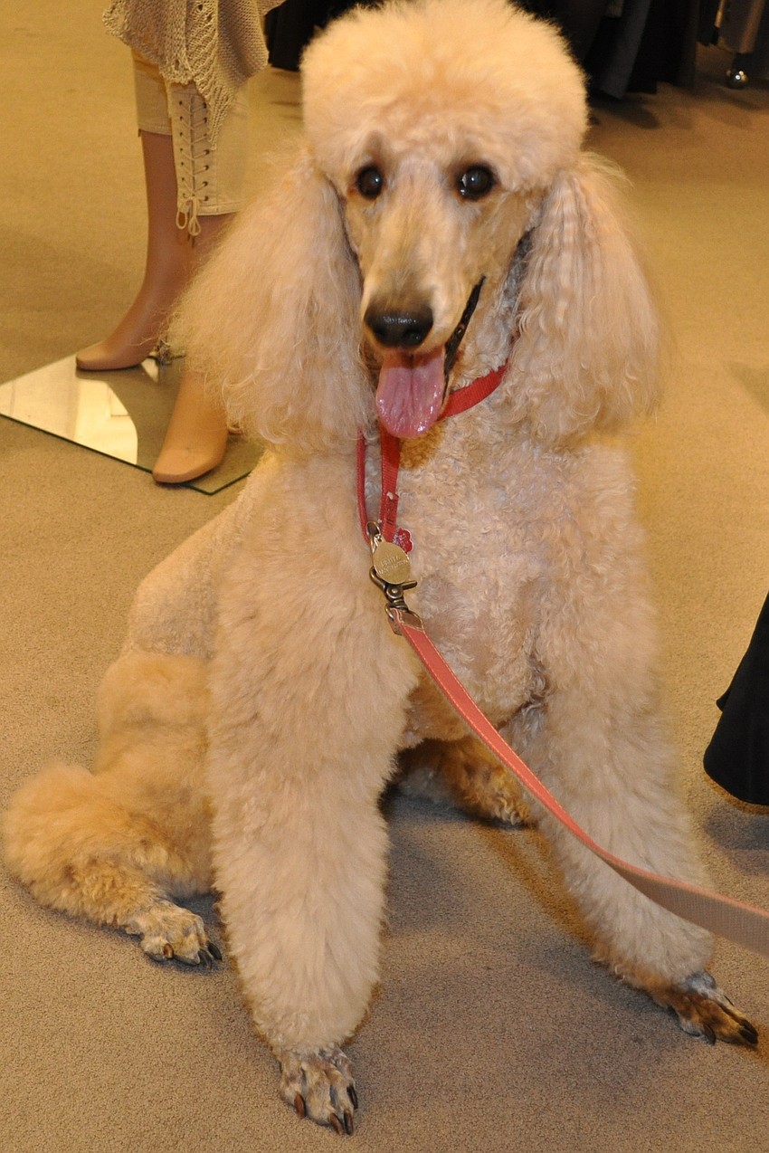 Behta (Janet and John Hunter)