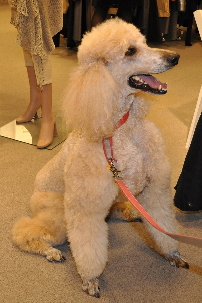 Behta (Janet and John Hunter)