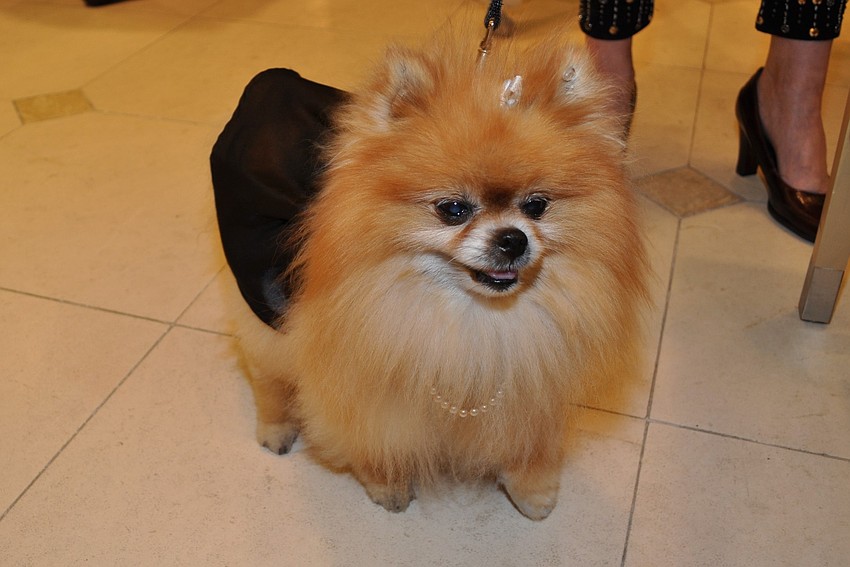 Foxie (Carole Phillips)