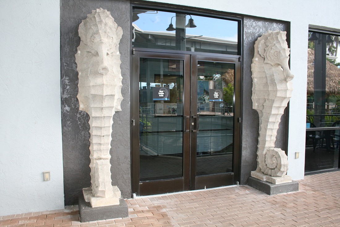 Mote's seahorse exhibit opened to the public in 2009.