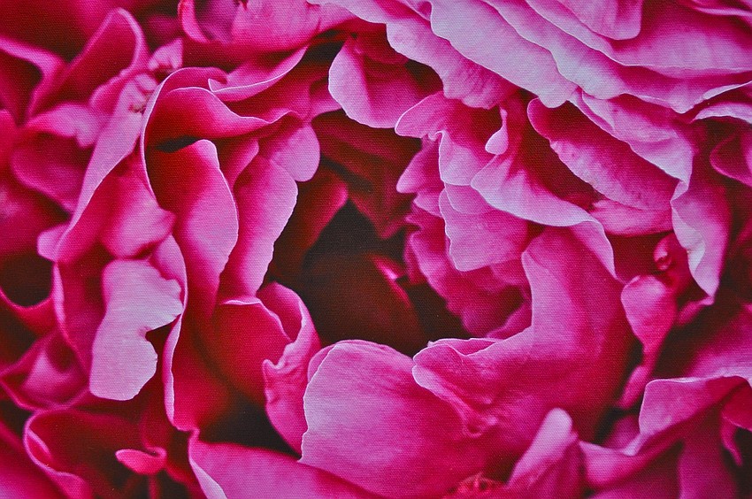 One of Wendy Vroom's paintings, entitled 