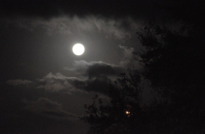 Last night's full moon cast a calming glow over Summerfield Park in Lakewood Ranch.