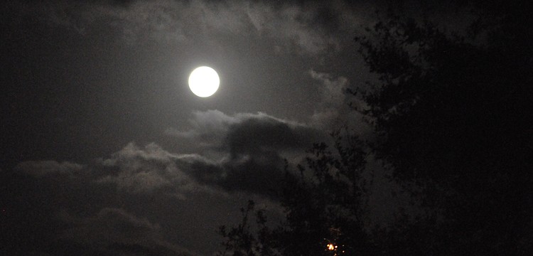 Last night's full moon cast a calming glow over Summerfield Park in Lakewood Ranch.