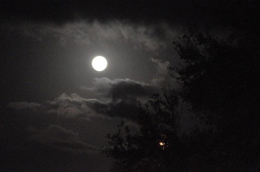 Last night's full moon cast a calming glow over Summerfield Park in Lakewood Ranch.