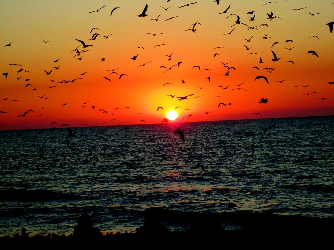 Bob Blanton submitted this sunset photo, taken at Turtle Beach on Siesta Key.