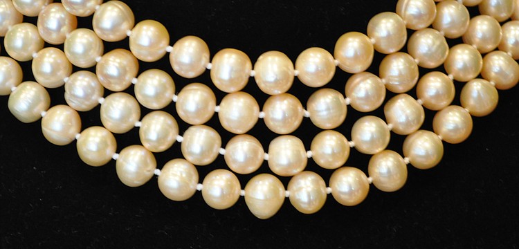 Pearls are the oldest recorded gem in history.