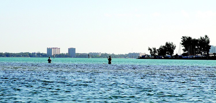 Two fisherman waded out into the water for a morning of fishing Monday, Feb. 28 in Sarasota Bay.