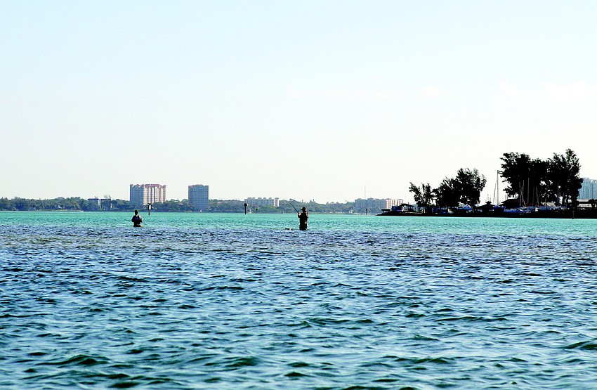 Two fisherman waded out into the water for a morning of fishing Monday, Feb. 28 in Sarasota Bay.