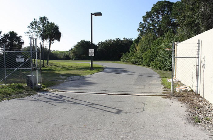 A 125-foot tower proposed on this county property would look like a pine tree to blend in with its surroundings.