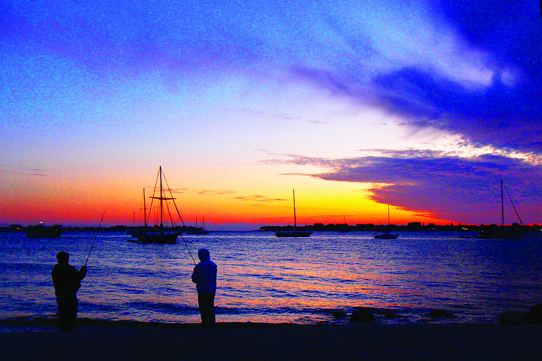 Gil Weiner submitted this sunset photo, taken at SarasotaÃ¢â‚¬â„¢s Bayfront Park.