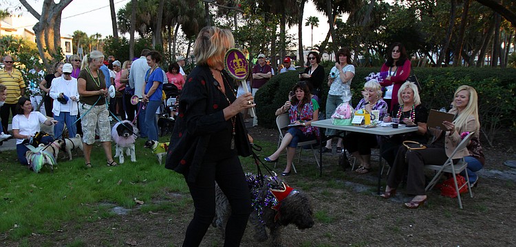 Dogs show off their stuff to the judges during the costume contest portion on Tuesday, Mar. 8 during Masquerade â€” Mardi Gras St. Armands Style.