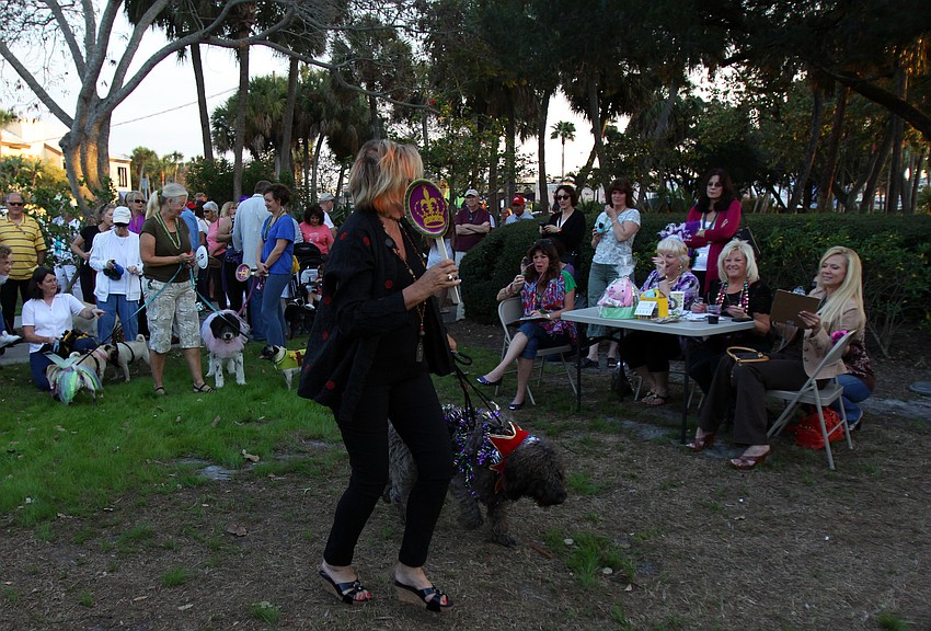 Dogs show off their stuff to the judges during the costume contest portion on Tuesday, Mar. 8 during Masquerade â€” Mardi Gras St. Armands Style.