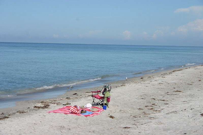 Red tide is not currently detected on Longboat Key and Sarasota beaches.