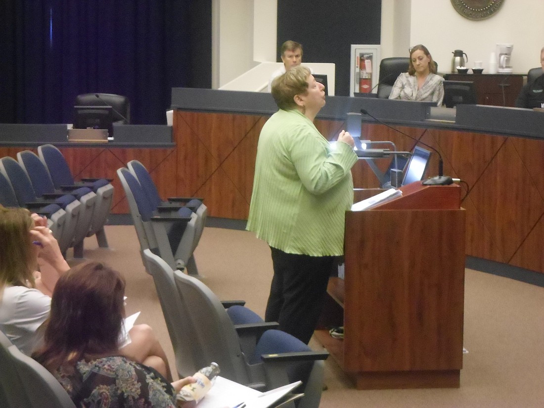 Evelyn Fine presents the study's finding to the Tourist Development Council.