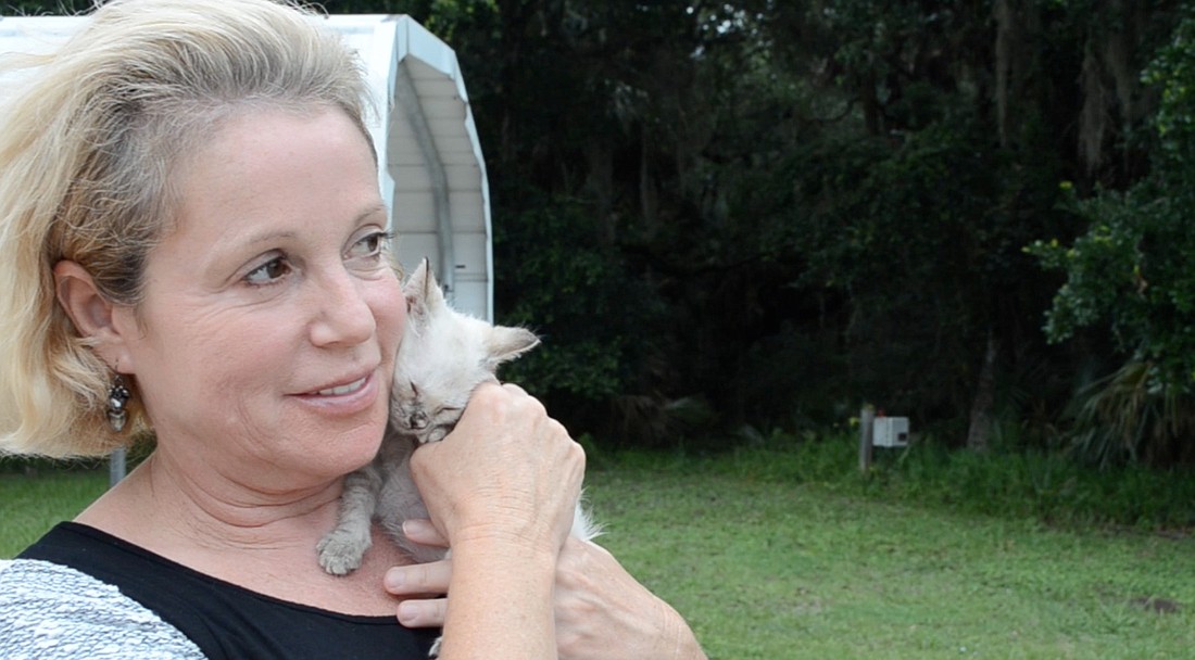 Elizabeth Robinson, of Community Cats of Palm Coast, holds a kitten while talking to Ruth Rupprecht, of Saffari Animal Rescue.