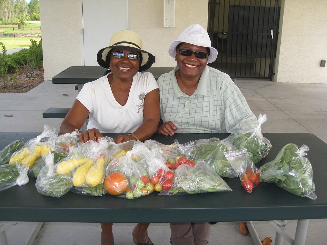 Luzibu Nsakala and Mamie Godfrey were the driving force of the PCUMC garden.