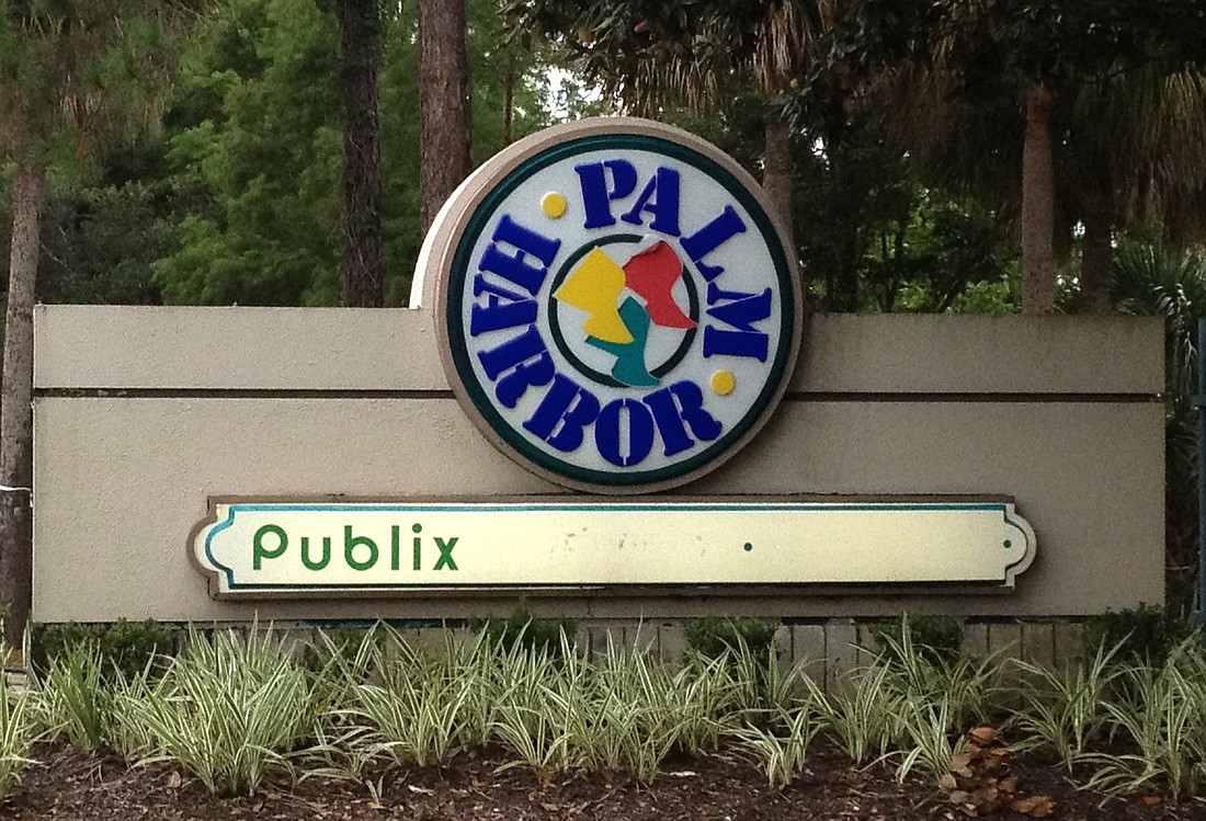 Developer Michael Collard plans to buy and reconstruct Palm Harbor Shopping Center