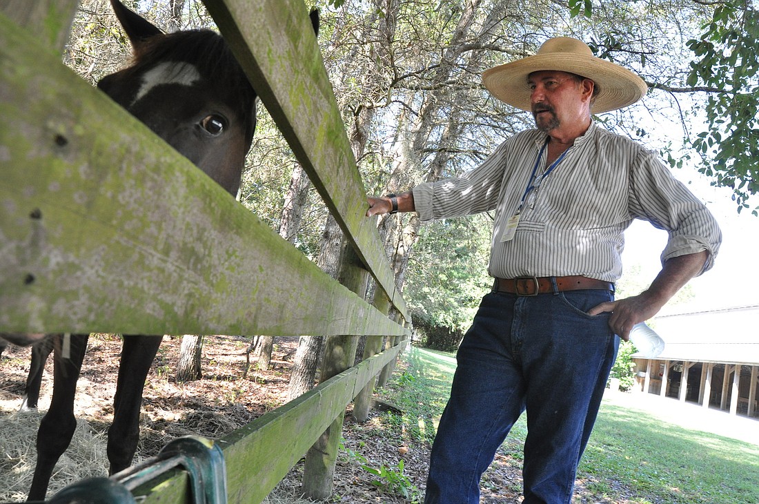 Robert Garver, historic interpreter at the Florida Agricultural Museum, spends time with Supressa, the museum's Florida cracker horse. SHANNA FORTIER