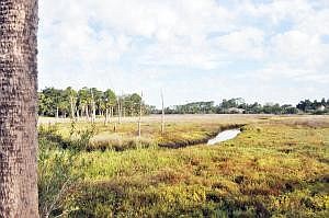 The new park at Long Creek Nature Preserve will have picnic tables, multipurpose paths and a canoe and kayak launch. FILE PHOTO