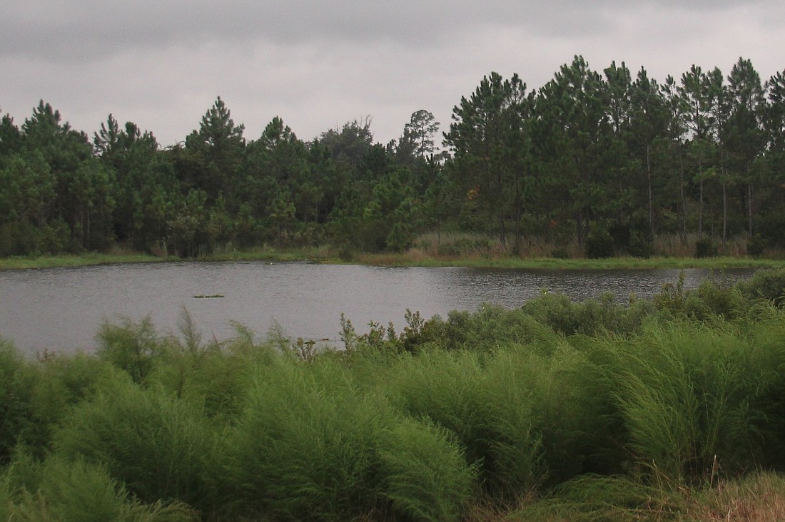 Matanzas Woods Golf Course, vacant since 2007, has been purchased by a local developer.